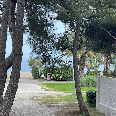 Grand F3 Vue Mer Centre Plage Proche Commerces Plage dʼArgelès 외부 사진