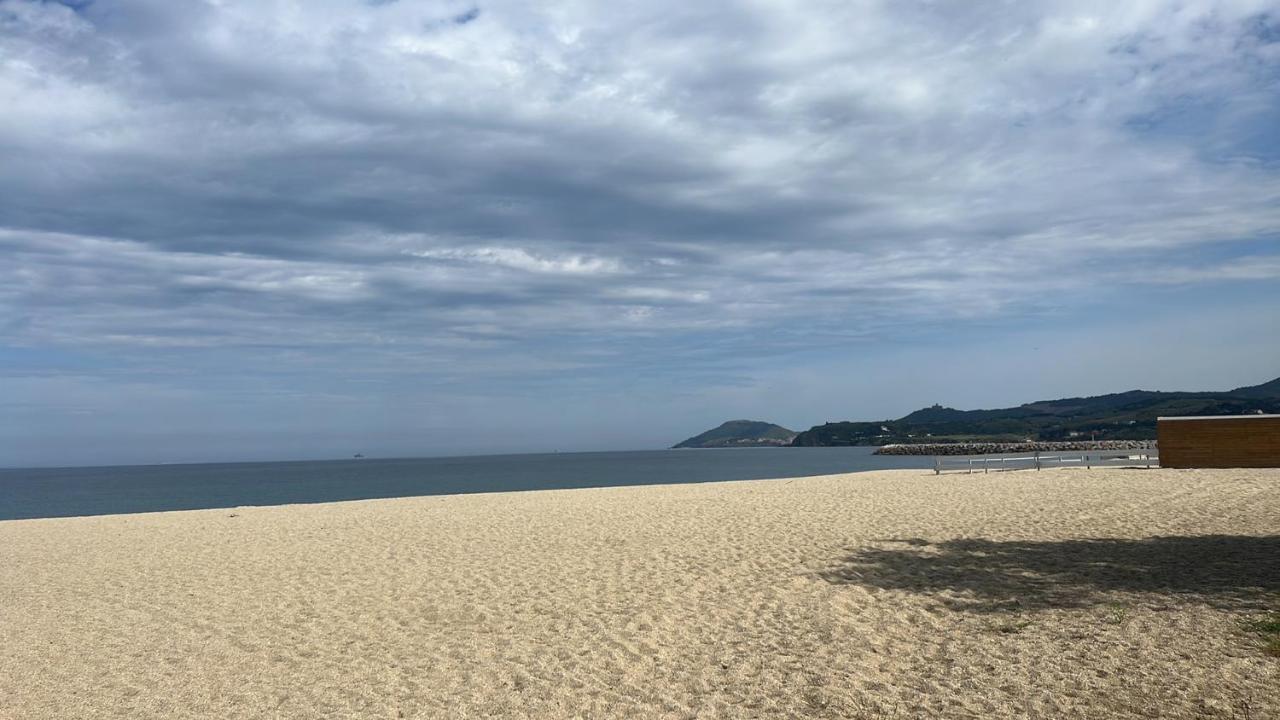 Grand F3 Vue Mer Centre Plage Proche Commerces Plage dʼArgelès 외부 사진