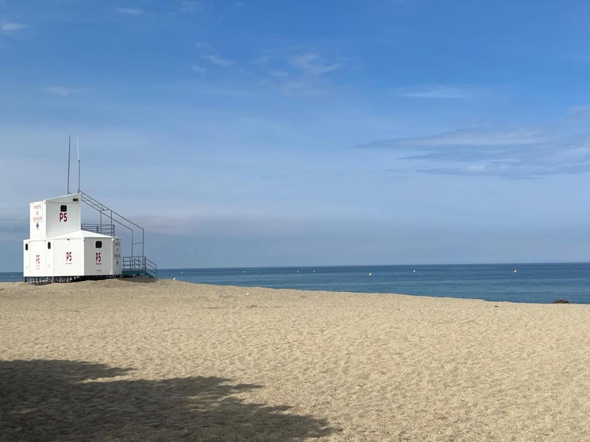 Grand F3 Vue Mer Centre Plage Proche Commerces Plage dʼArgelès 외부 사진