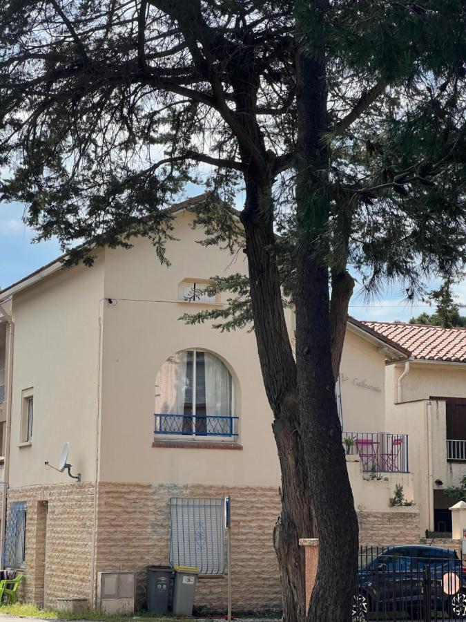 Grand F3 Vue Mer Centre Plage Proche Commerces Plage dʼArgelès 외부 사진