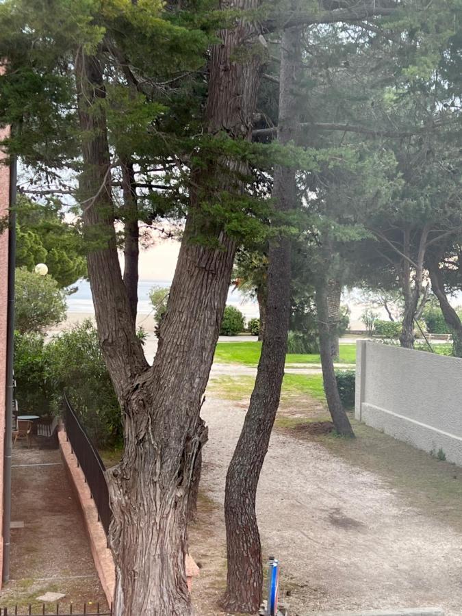 Grand F3 Vue Mer Centre Plage Proche Commerces Plage dʼArgelès 외부 사진
