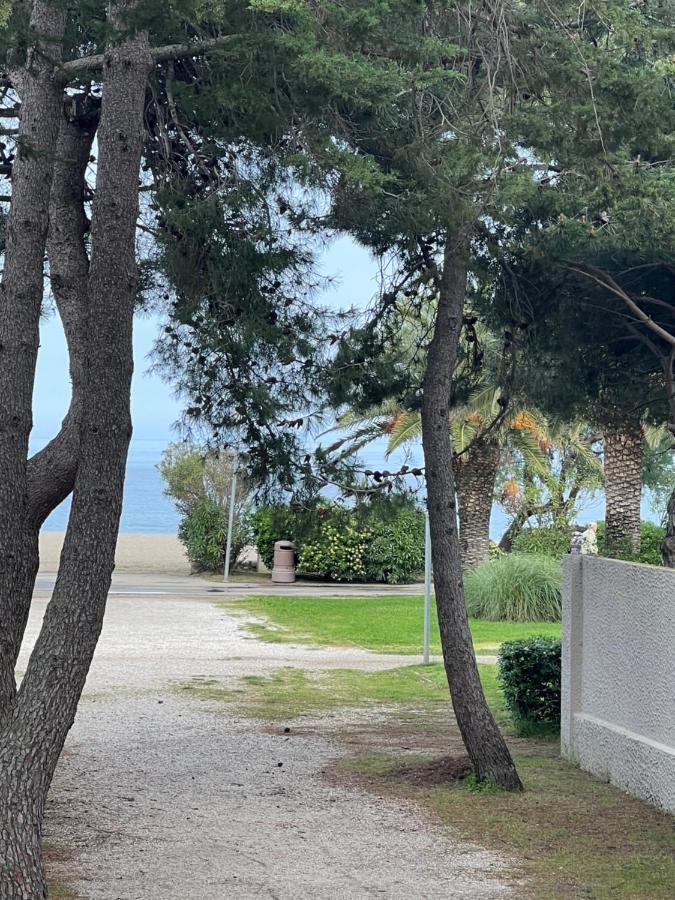 Grand F3 Vue Mer Centre Plage Proche Commerces Plage dʼArgelès 외부 사진