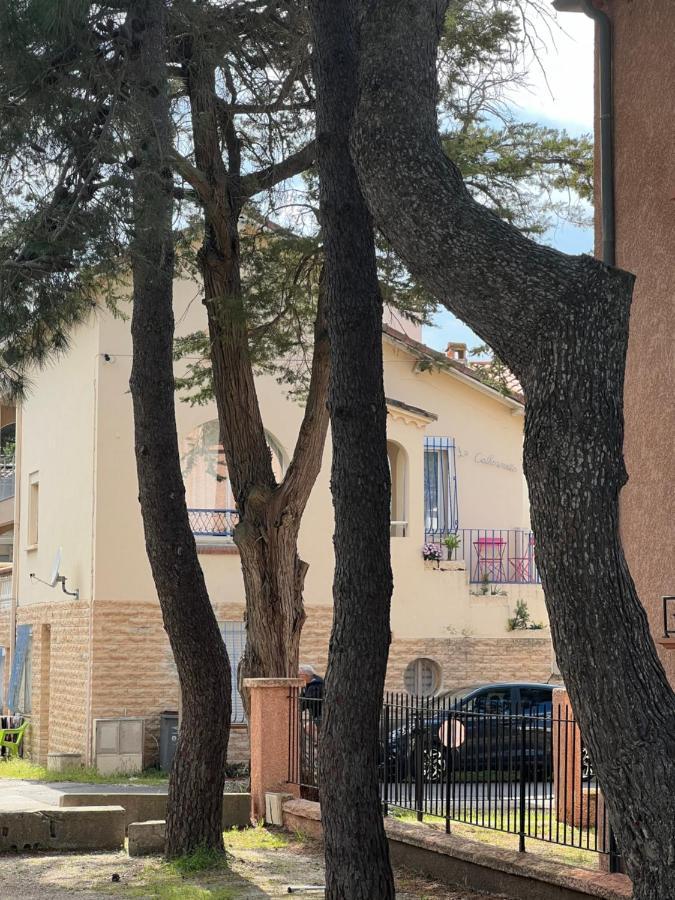 Grand F3 Vue Mer Centre Plage Proche Commerces Plage dʼArgelès 외부 사진